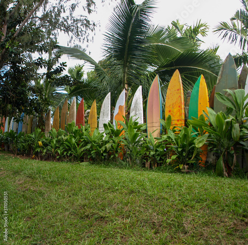 Multicolored surfboards among palm trees and green grass in Maui