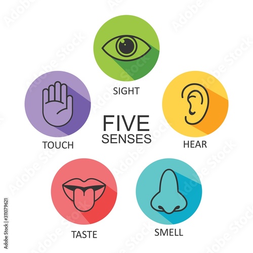 Human senses icon. Vector illustration,