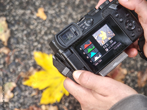 Tourist woman take the picture of yellow leaves under trees