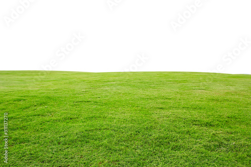 fresh green grass lawn isolated on white background