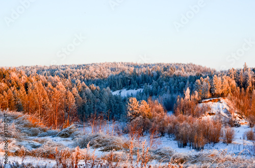 winter forest view from the slope in the sunset rays and grass in the foreground