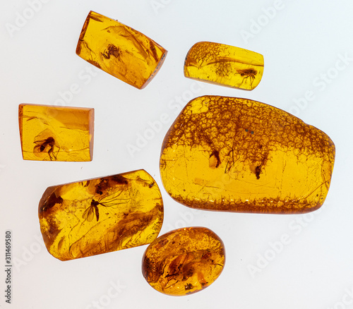 Inkluzje owadów w pomarańczowym bałtyckim bursztynie . Baltic amber with inclusions of mosquito, fly, ant isolated on white background