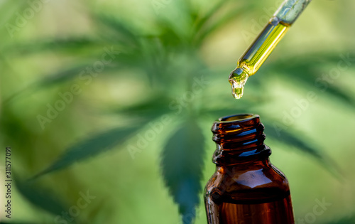 Doctors hold a bottle of medicine dropper, biomedical and ecological hemp medicine, medicinal plants, cbd oil, hemp oil, medical hemp products for medical use, including cbd hemp leaf 