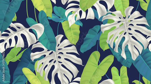 Foliage seamless pattern, white and green split-leaf Philodendron and Philodendron burle marx plant on dark blue
