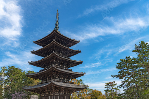 奈良 興福寺 五重塔