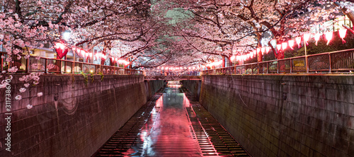 【東京都 目黒区】 目黒川の夜桜