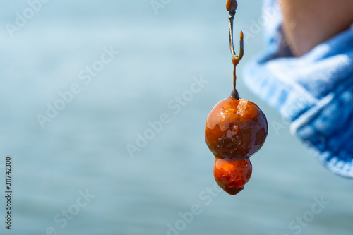 Carp fishing chod rig the perfect snowman rig for carp hooks. Drop-off rig for carp fishing. Snowman with sauce