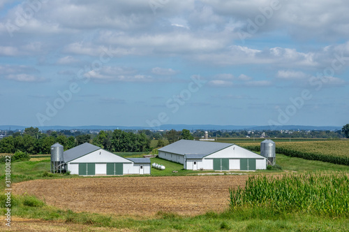 Chicken Houses in the Valley