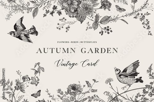 Autumn Garden. Vector horizontal card. Flowers, birds, butterflies. Black and white