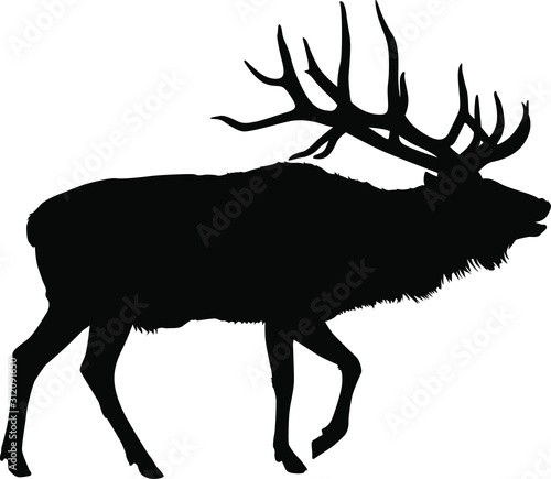 A vector silhouette of a large bull elk bugling.