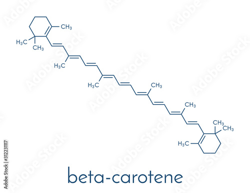 Beta-carotene pigment molecule. Skeletal formula.