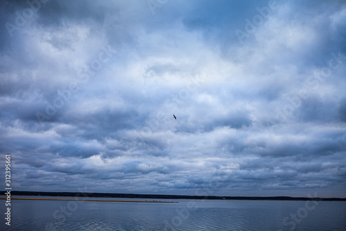 Pochmurny dzień nad jeziorem, na niebie ptak