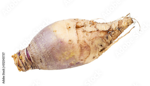 fresh rutabaga vegetable isolated on white