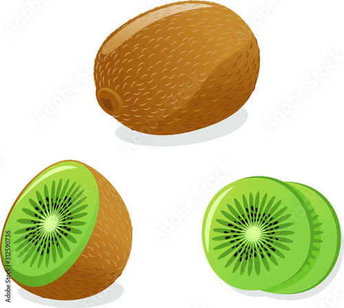 kiwi illustration set