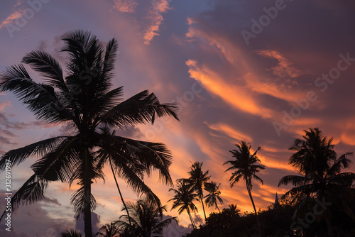 Amazing sunset sky above the jungle