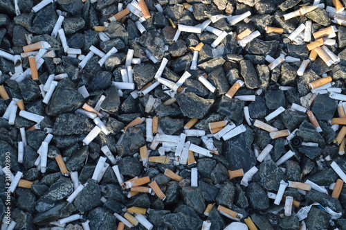 vast amount of cigarette butts in gravel as symbol for littering, environmental pollution and carelessness