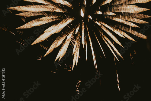 fireworks in the night sky