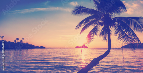 coconut tree at tropical coast over sea at sunset ,made with Vintage Tones,Warm tones