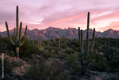Desert Sunset in Tucson Arizona
