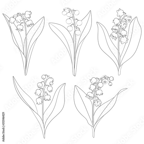 Set of black and white images with lilies of the valley. Isolated vector objects on a white background.