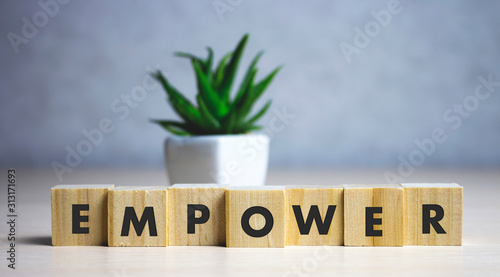 empower word written on wood block. empower text on table, concept.