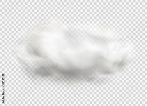 Cloud of fog, smoke, urban smog. Realistic isolated cloud on transparent background.