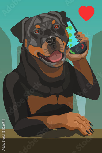 Rottweiler dog calls on the phone, he is thoroughbred, he is healthy and cheerful sends Hello to everyone!