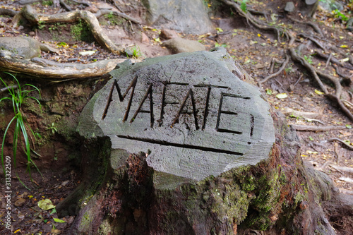 Mafate - ïle de la Réunion (inscription sur une souche)