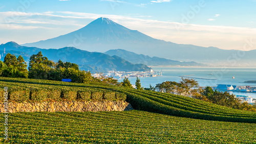 Sunrise over Mt. Fuji / Fuji Mountain and fresh green tea field at Nihondaira, Shizuoka, Japan