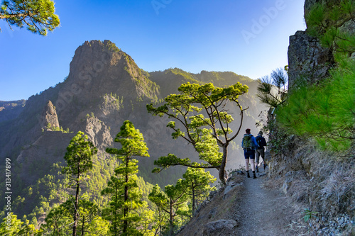 La Palma: Rundwanderung zum Pico Bejenado in der Caldera de Taburiente - Wandergruppe auf dem Weg zum Gipfel