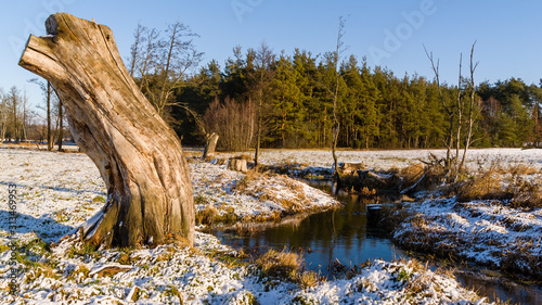 Zima na Podlasiu, Polska