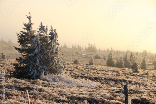 Le Gazon du Faing dans les Vosges en hiver