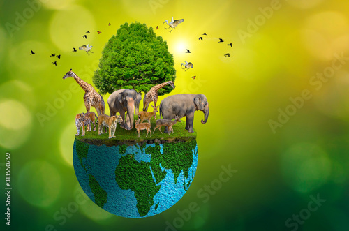 Concept Nature reserve conserve Wildlife reserve tiger Deer Global warming Food Loaf Ecology Human hands protecting the wild and wild animals tigers deer, trees in the hands green background Sun light