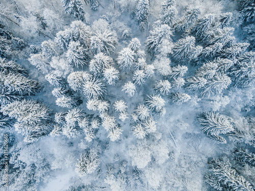 Aerial top view of snow covered winter forest trees in Finland.