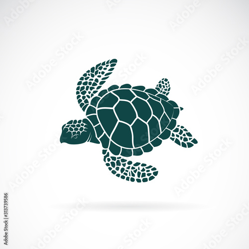 Vector of turtle design on a white background. Wild Animals. Underwater animal. Turtle icon or logo. Easy editable layered vector illustration.