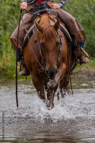 Horseback Riding in Creek
