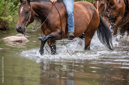 Horseback Riding in Creek