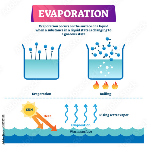 Evaporation vector illustration. Labeled liquid to gas state process scheme