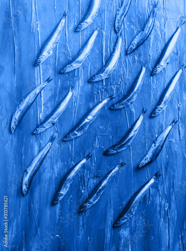 Fish pattern. Fresh anchovies on classic blue sea effect background. Trendy food concept