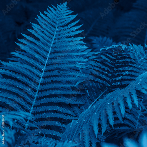 Background of leaves toned in the color of 2020-classic blue