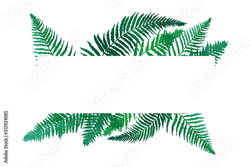 Fern green leaves frame, basis element isolated. Graphics on white background