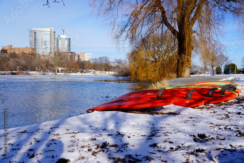 Many colorful surfboards were found laying in the winter snow during January out in a park in Milwaukee, Wisconsin.