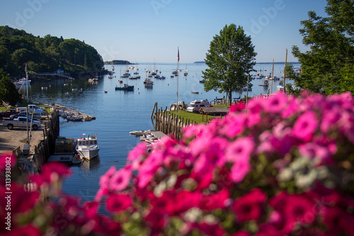 Flowers bloom in the foreground as boats anchor in Rockport Harbor, Maine.