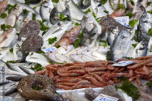vario pesce di mare esposto al mercato del pesce