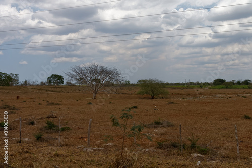 Wiejskie krajobrazy Jukatanu