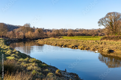 A scenic Sussex view along the River Ouse in Sussex, with the spire of Hamsey church visible behind bare trees