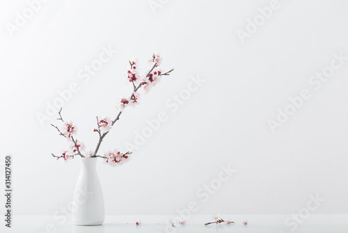 flowering cherry branch in vase on white background