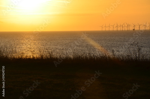 Windmills power plant, harvesting wind energy