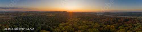 Aerial panoramic drone shot of Luneberg Heide forests pine trees forests woodland during sunset in autumn