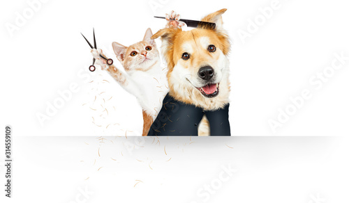 Funny Cat Grooming Dog Web Banner